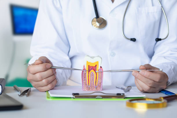 Best Emergency Cosmetic Dentistry (e.g., broken veneers) in St James, MD
